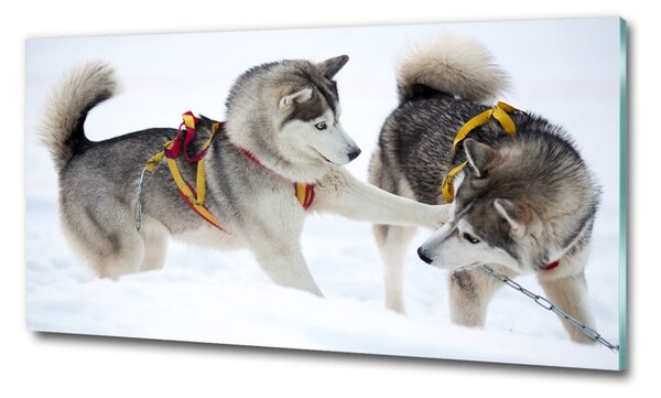 Imagine de sticlă iarna Husky