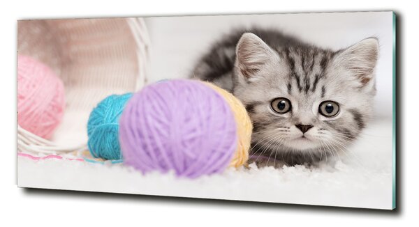 Imagine de sticlă Cat cu motkami