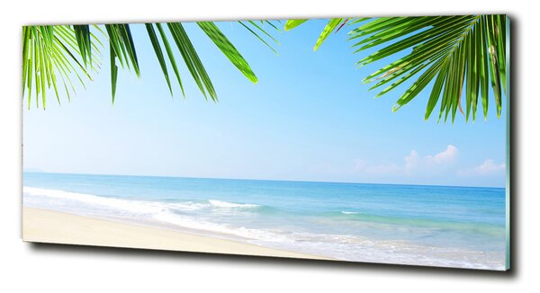 Tablou pe pe sticlă plaja tropicala