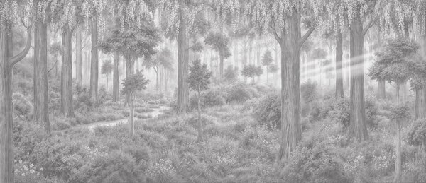 Fototapet Pădure cu copaci și plante, Fototapet natură, Fototapet populare, t00834v1 - Tapeko.ro