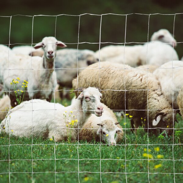 PawHut Rolă Plasă Metalică Zincată pentru Țarcuri, Gard de Protecție Exterior pentru Animale, 26.1m, 15x20.3 cm | Aosom Romania