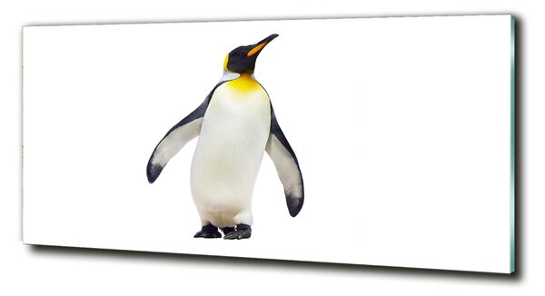 Tablou Printat Pe Sticlă Pinguin