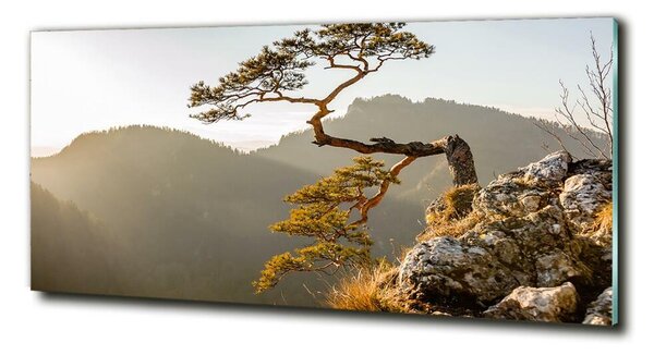 Tablou Printat Pe Sticlă Pieniny Sokolica