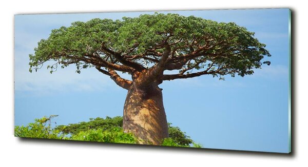 Tablou sticlă Baobab