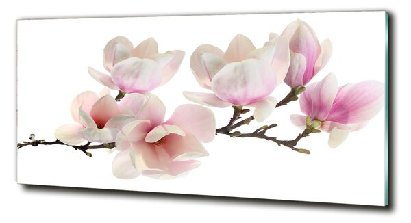 Tablou din Sticlă Magnolie