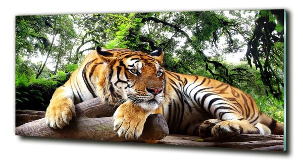 Tablou sticlă Tiger pe stâncă