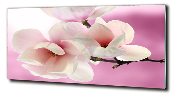 Tablou pe pe sticlă Magnolie