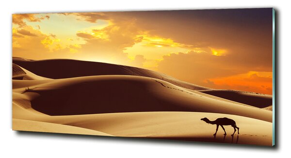 Tablou pe pe sticlă cămilă Sahara