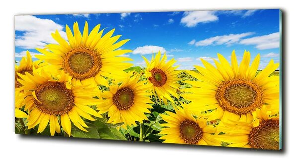 Tablou sticlă Floarea soarelui