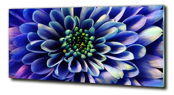 Tablou sticlă Aster