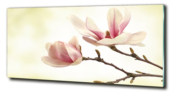 Fotografie imprimată pe sticlă Magnolie