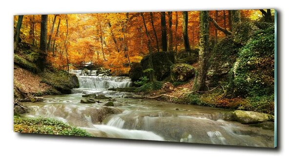 Tablou din Sticlă Cascada din pădure