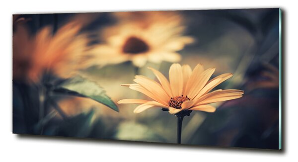 Tablou sticlă Floare de primavara