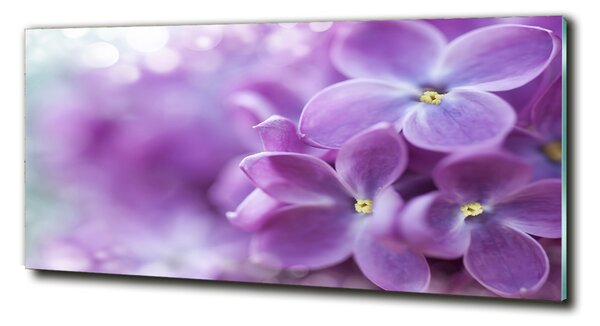 Fotografie imprimată pe sticlă flori de liliac