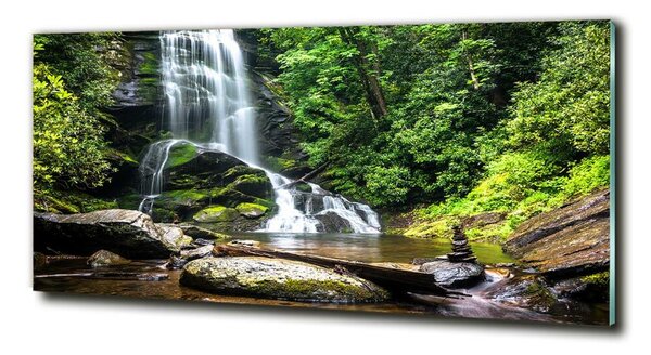 Tablou Printat Pe Sticlă Cascada din pădure