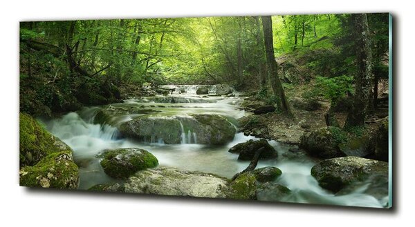 Tablou sticlă Cascada din pădure