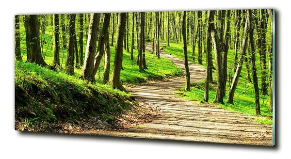 Tablou din Sticlă Calea în pădure