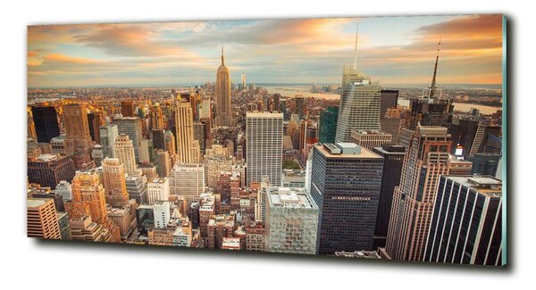 Tablou sticlă New York pasăre de zbor
