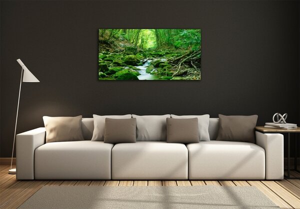 Tablou Printat Pe Sticlă Stream în pădure