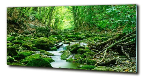Tablou Printat Pe Sticlă Stream în pădure