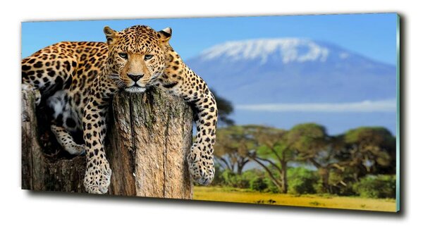 Tablou din Sticlă Leopard pe un ciot de copac