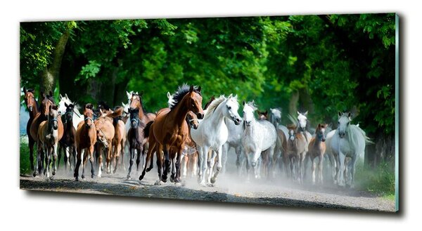 Fotografie imprimată pe sticlă galopantă Cai