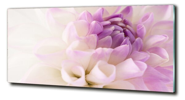Tablou Printat Pe Sticlă Dahlia alb