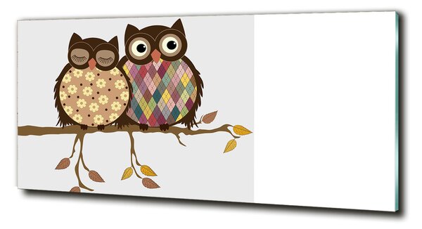 Tablou Printat Pe Sticlă Două bufnițe pe o ramură