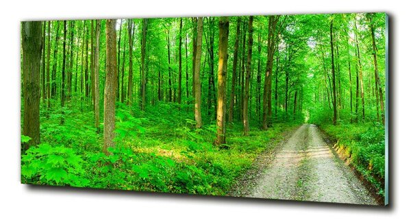 Imagine de sticlă Copaci în pădure