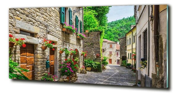 Tablou Printat Pe Sticlă stradă fermecătoare