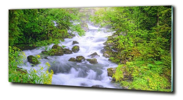 Tablou din Sticlă râu de munte