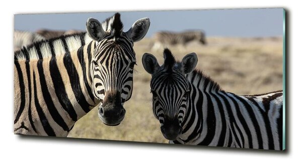 Tablou din Sticlă două zebre