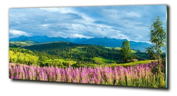 Fotografie imprimată pe sticlă Lavanda în munți