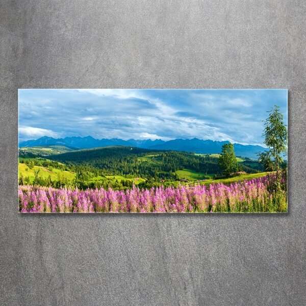 Fotografie imprimată pe sticlă Lavanda în munți