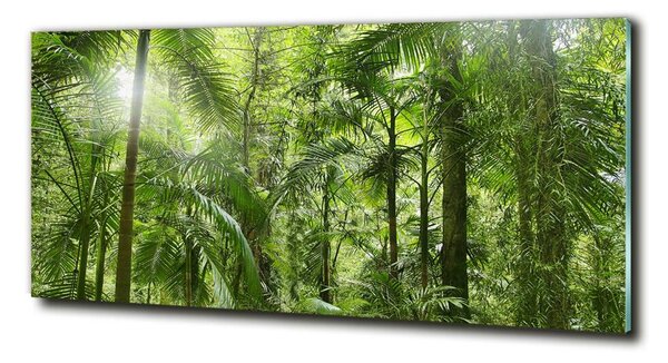 Fotografie imprimată pe sticlă padure tropicala