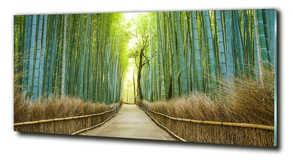 Fotografie imprimată pe sticlă pădure de bambus