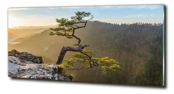 Tablou din Sticlă Pieniny Sokolica