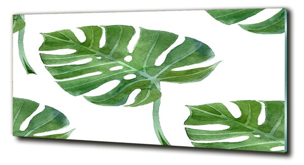 Imagine de sticlă Monstera