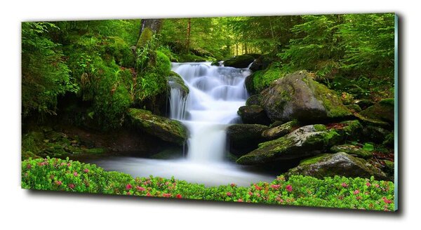 Tablou din Sticlă Cascada din pădure