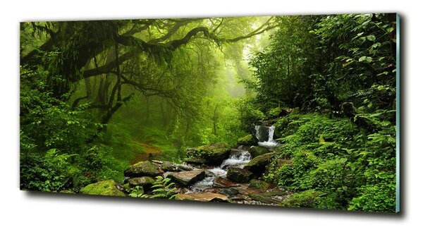 Tablou pe pe sticlă Jungle în Nepal