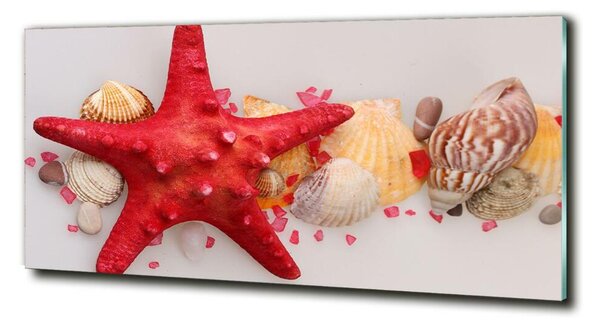 Tablou Printat Pe Sticlă Starfish și scoici