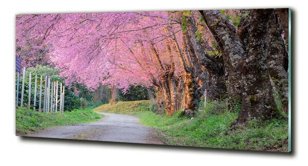 Fotografie imprimată pe sticlă flori de cireș
