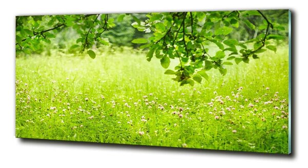 Tablou Printat Pe Sticlă pajiște verde