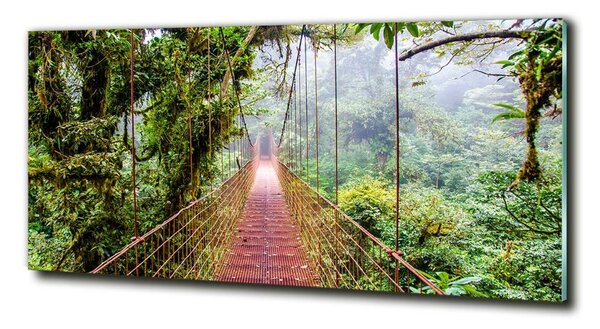 Fotografie imprimată pe sticlă Bridge în tropice