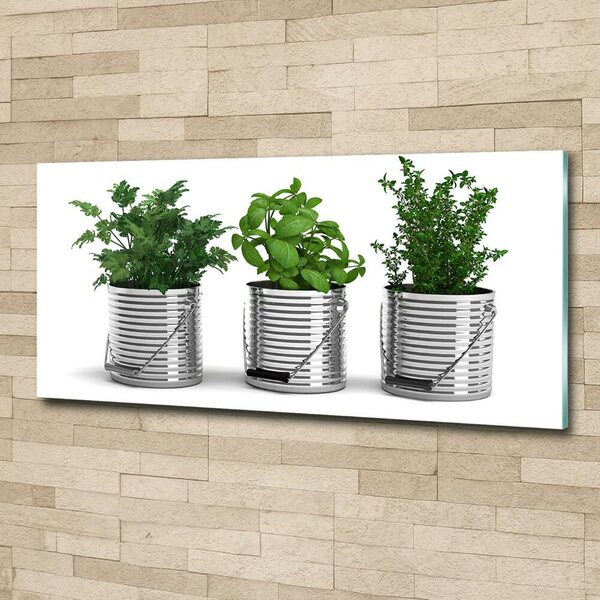 Tablou sticlă plante aromatice