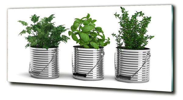 Tablou sticlă plante aromatice