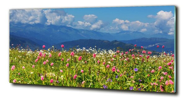 Imagine de sticlă Meadow în munți
