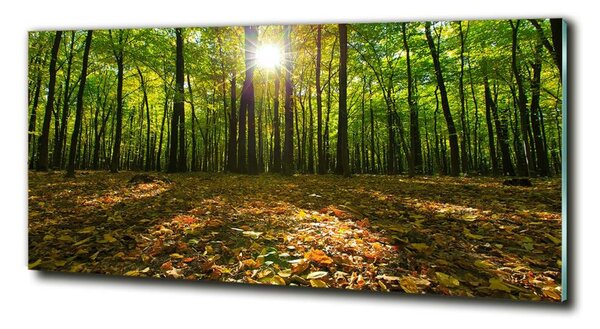 Tablou Printat Pe Sticlă pădure