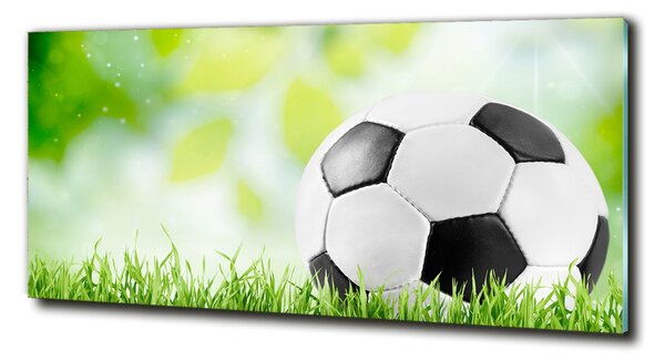 Imagine de sticlă Fotbal