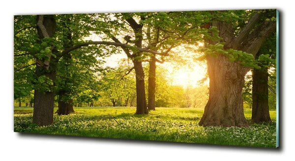 Tablou din Sticlă Copaci în parc